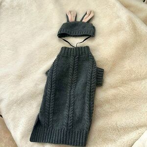 Small dog/cat bunny custume🐰